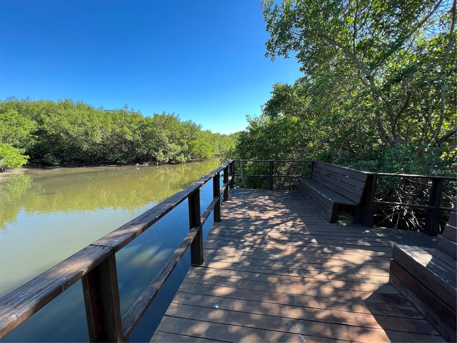 2910 LICHEN LN #B, CLEARWATER, FL, 33760