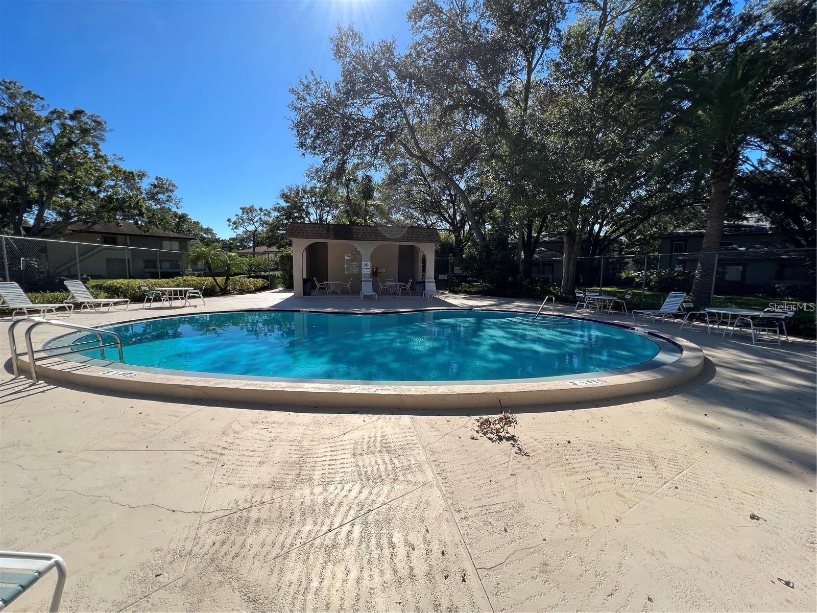 2910 LICHEN LN #B, CLEARWATER, FL, 33760