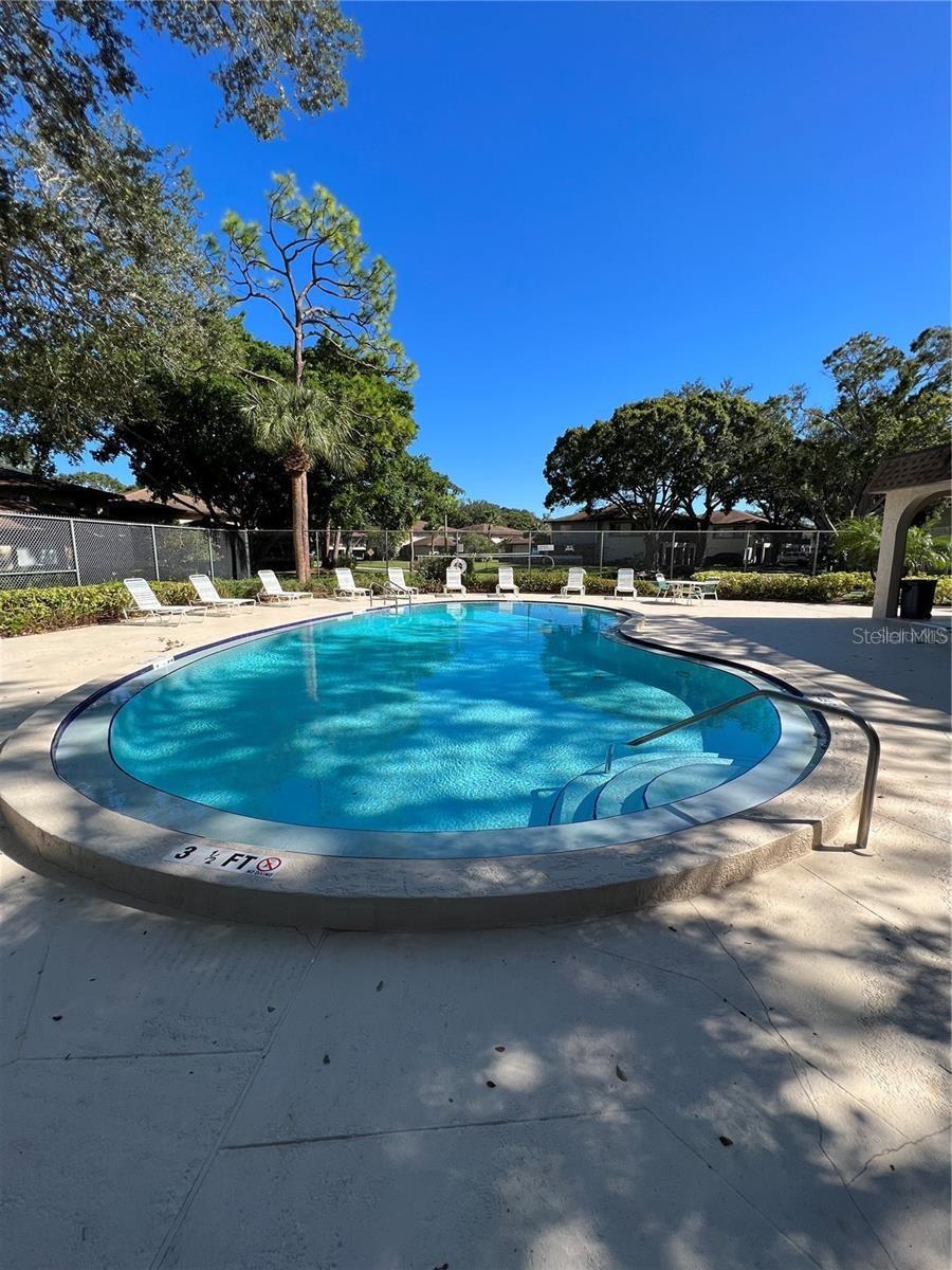 2910 LICHEN LN #B, CLEARWATER, FL, 33760