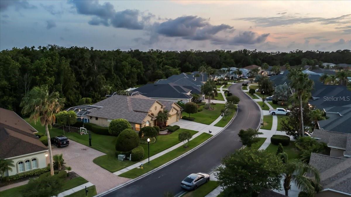 26920 WINGED ELM DR, WESLEY CHAPEL, FL, 33544