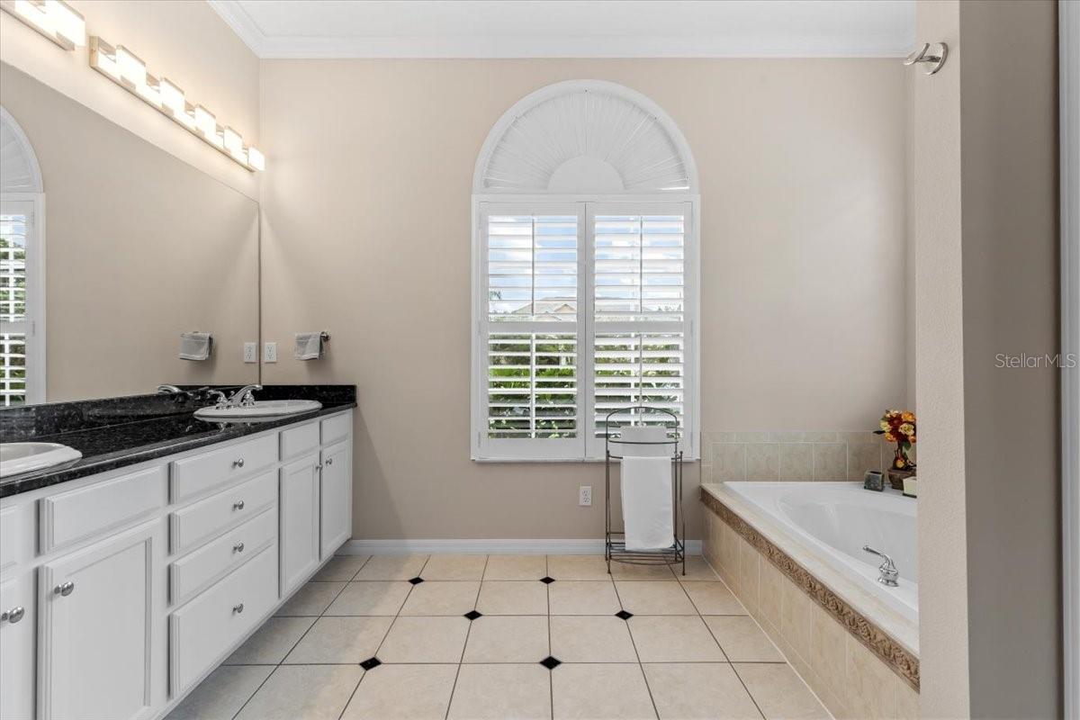 26920 WINGED ELM DR, WESLEY CHAPEL, FL, 33544