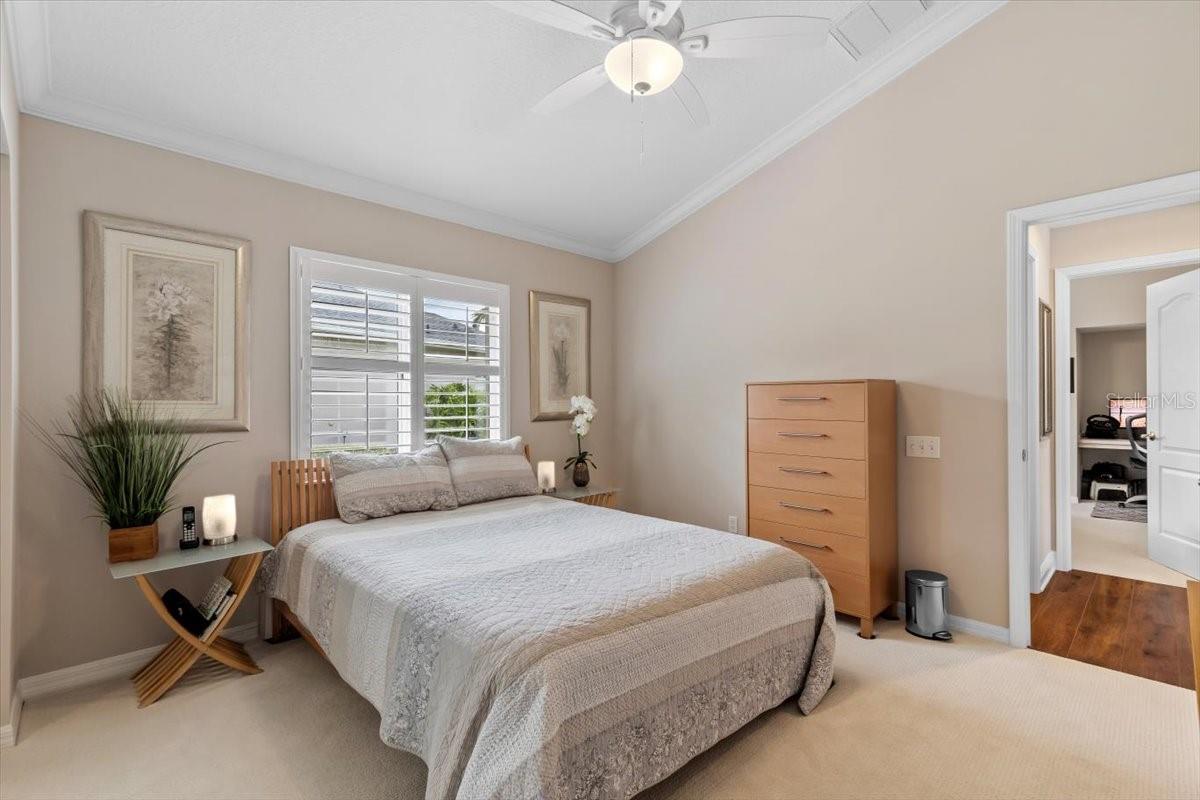 26920 WINGED ELM DR, WESLEY CHAPEL, FL, 33544