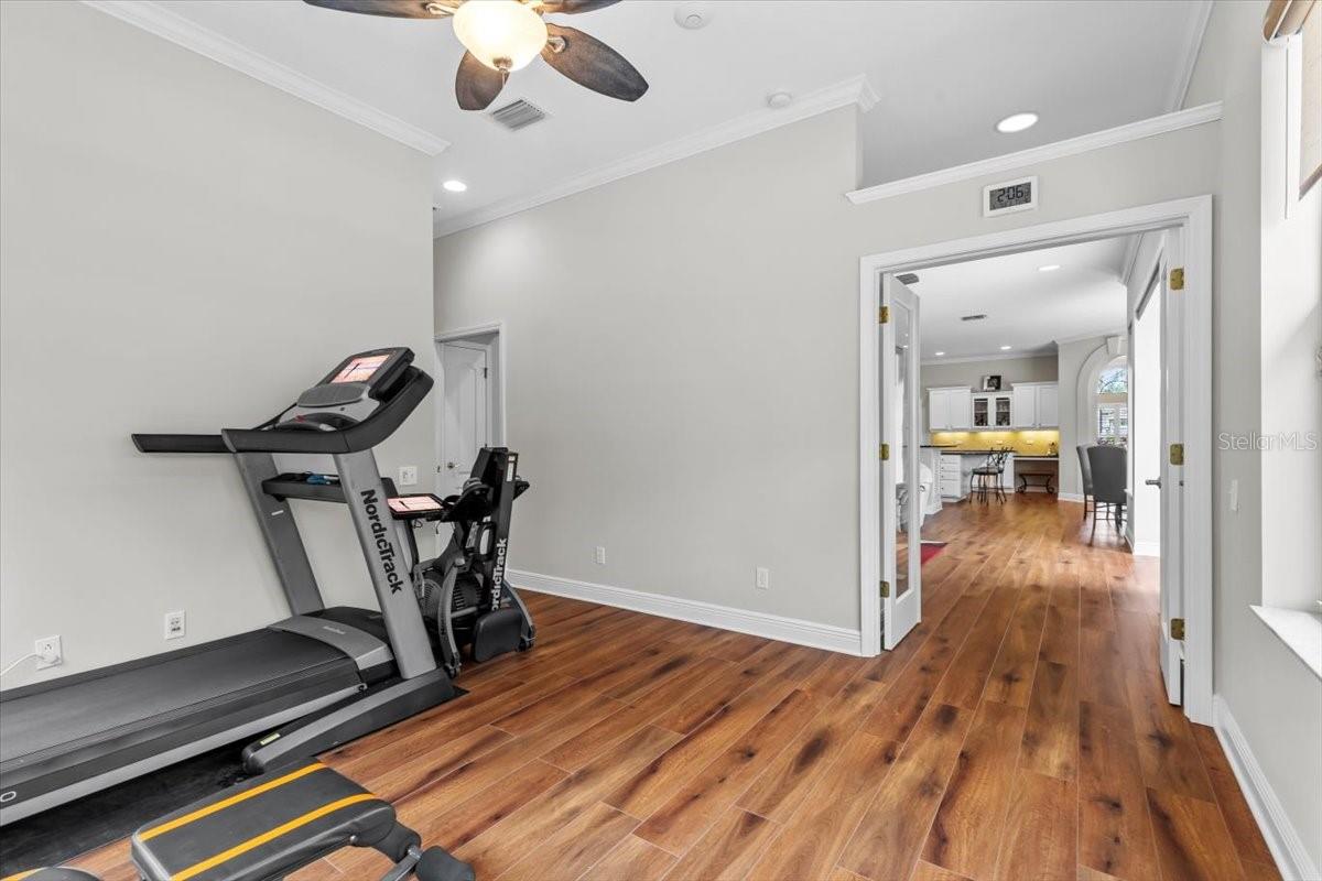 26920 WINGED ELM DR, WESLEY CHAPEL, FL, 33544