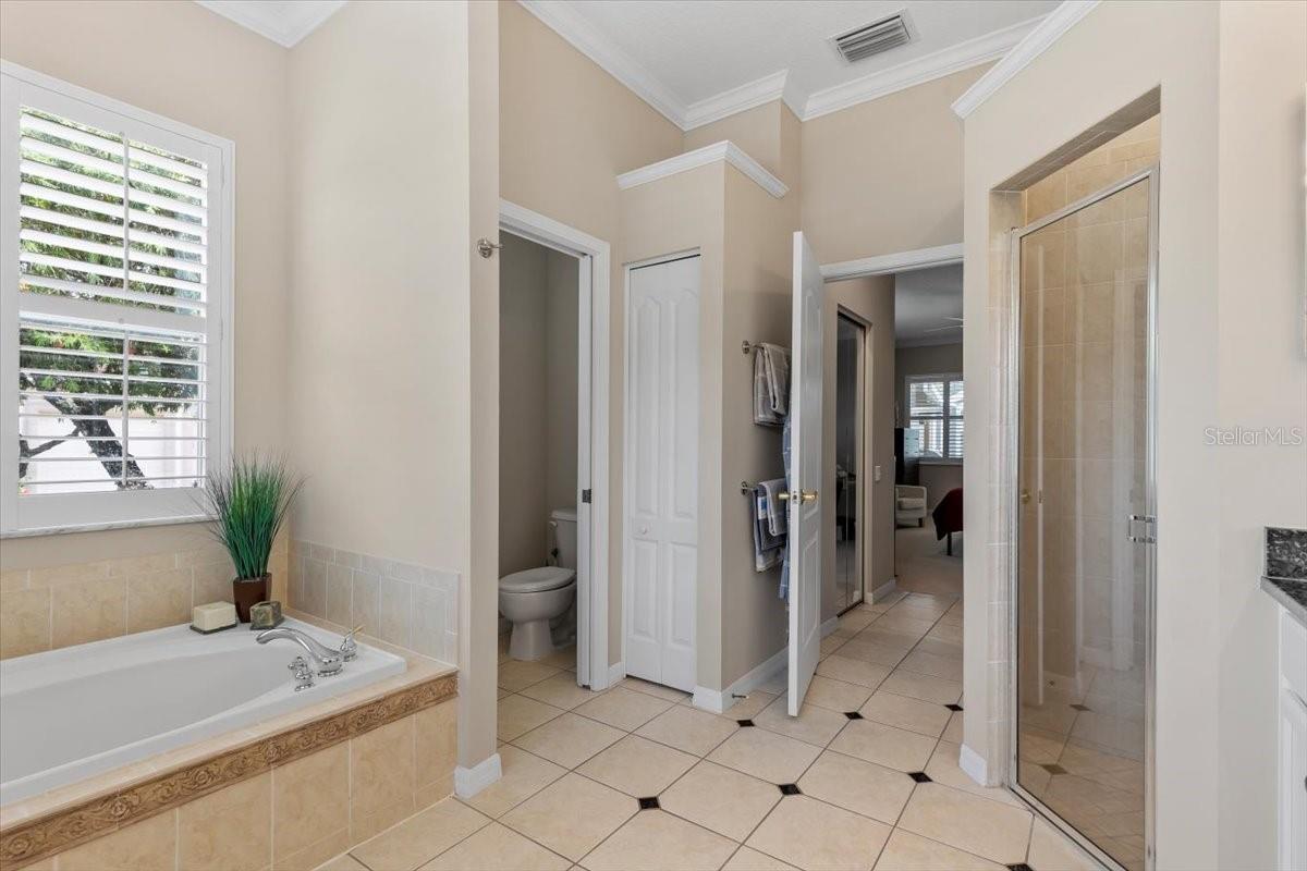 26920 WINGED ELM DR, WESLEY CHAPEL, FL, 33544