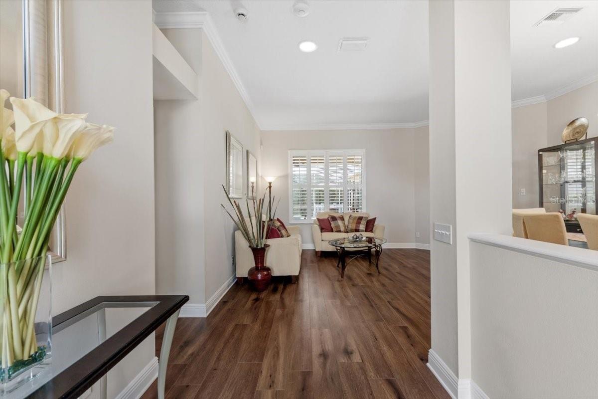 26920 WINGED ELM DR, WESLEY CHAPEL, FL, 33544