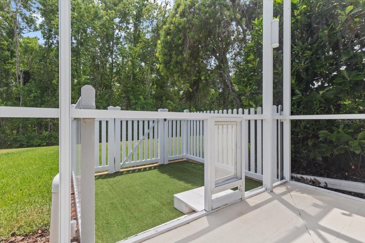 26920 WINGED ELM DR, WESLEY CHAPEL, FL, 33544