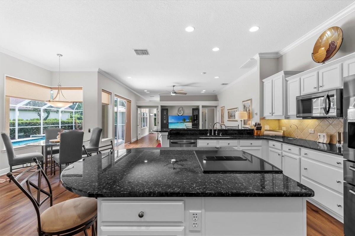 26920 WINGED ELM DR, WESLEY CHAPEL, FL, 33544