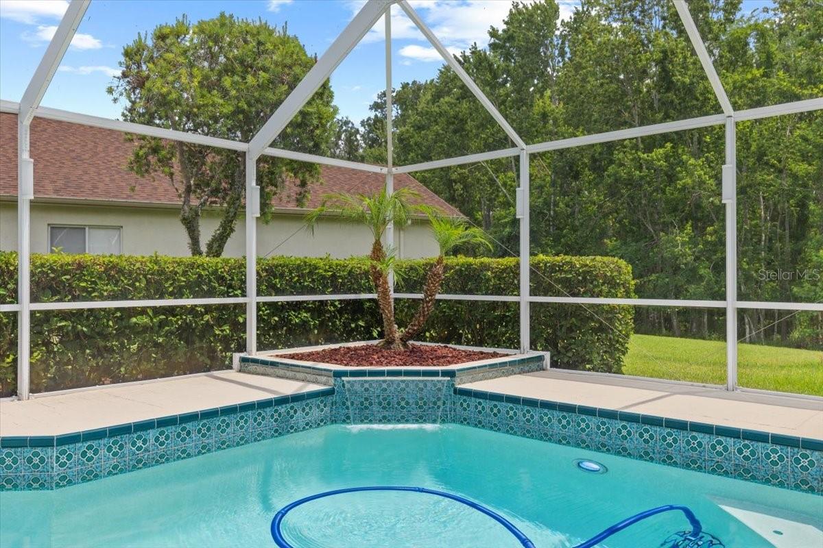 26920 WINGED ELM DR, WESLEY CHAPEL, FL, 33544