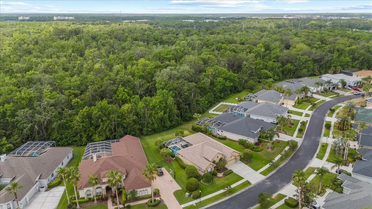 26920 WINGED ELM DR, WESLEY CHAPEL, FL, 33544