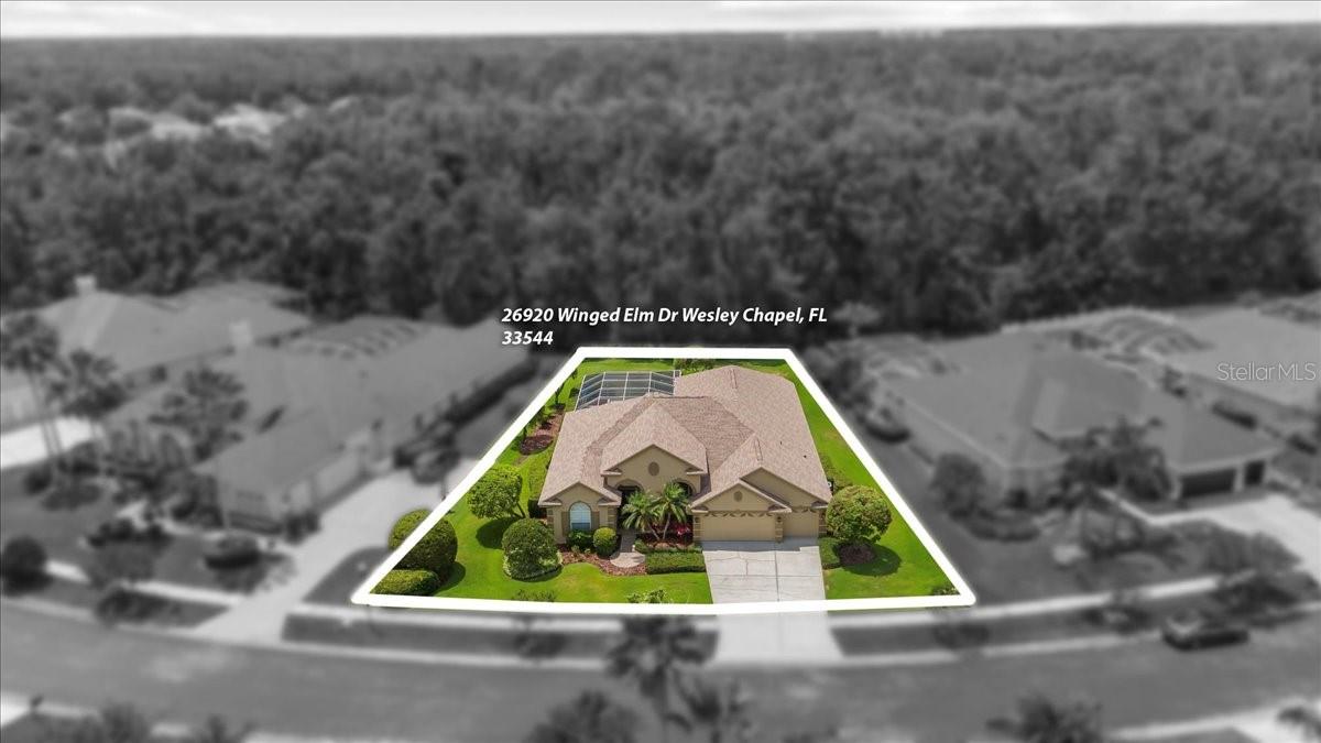 26920 WINGED ELM DR, WESLEY CHAPEL, FL, 33544