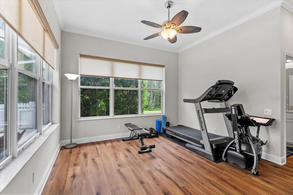 26920 WINGED ELM DR, WESLEY CHAPEL, FL, 33544