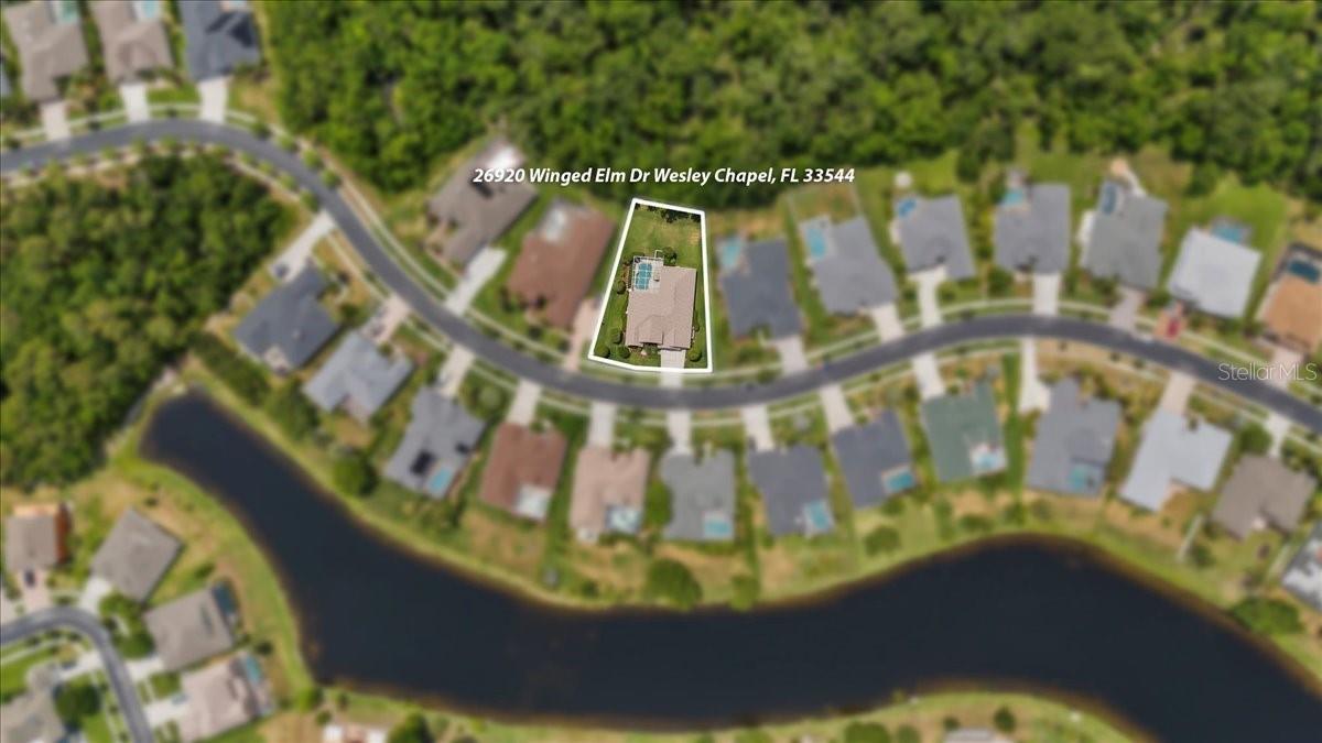 26920 WINGED ELM DR, WESLEY CHAPEL, FL, 33544