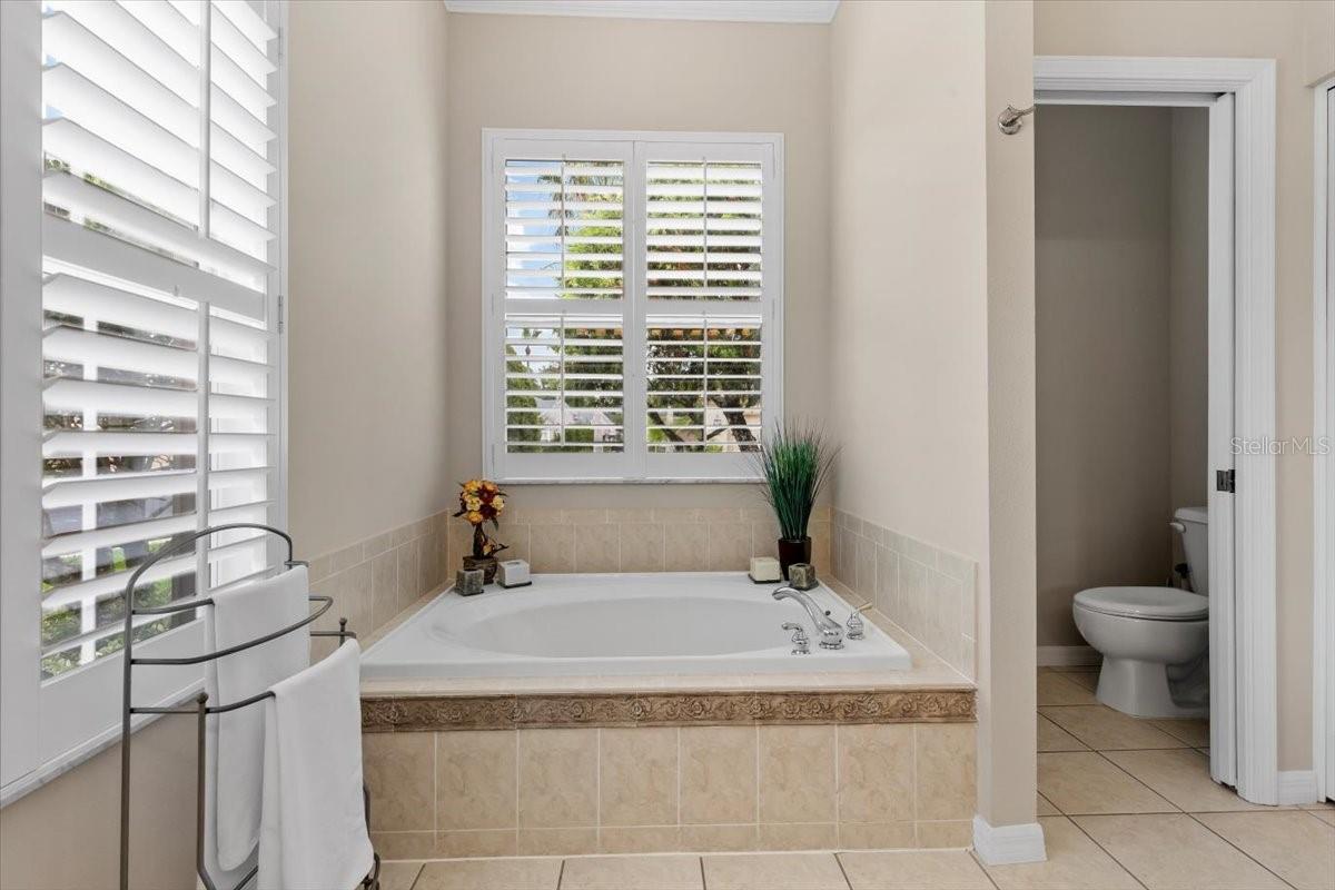 26920 WINGED ELM DR, WESLEY CHAPEL, FL, 33544