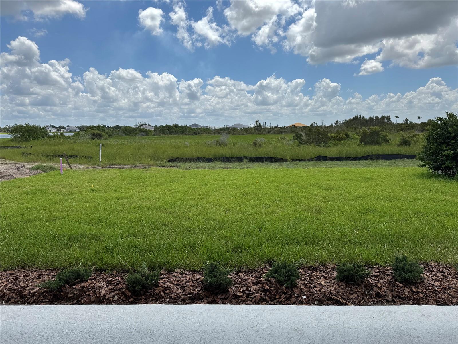 18051 FOXTAIL LOOP, VENICE, FL, 34293