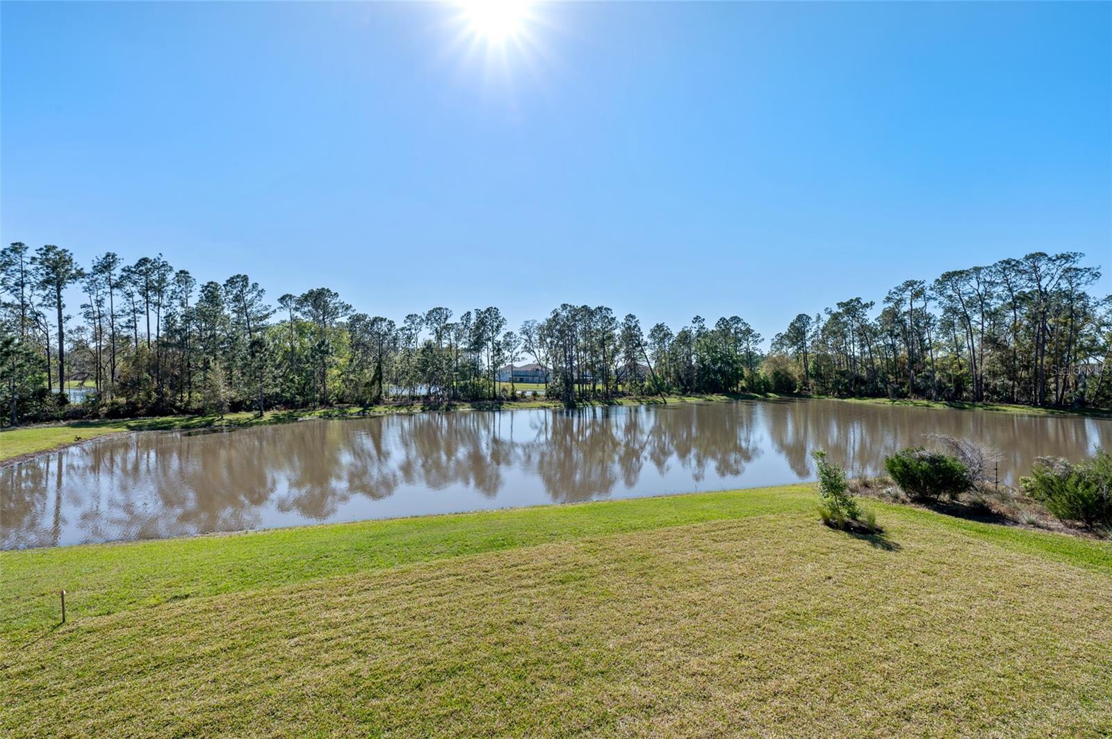 33736 OCEAN SPRAY LN, WESLEY CHAPEL, FL, 33543
