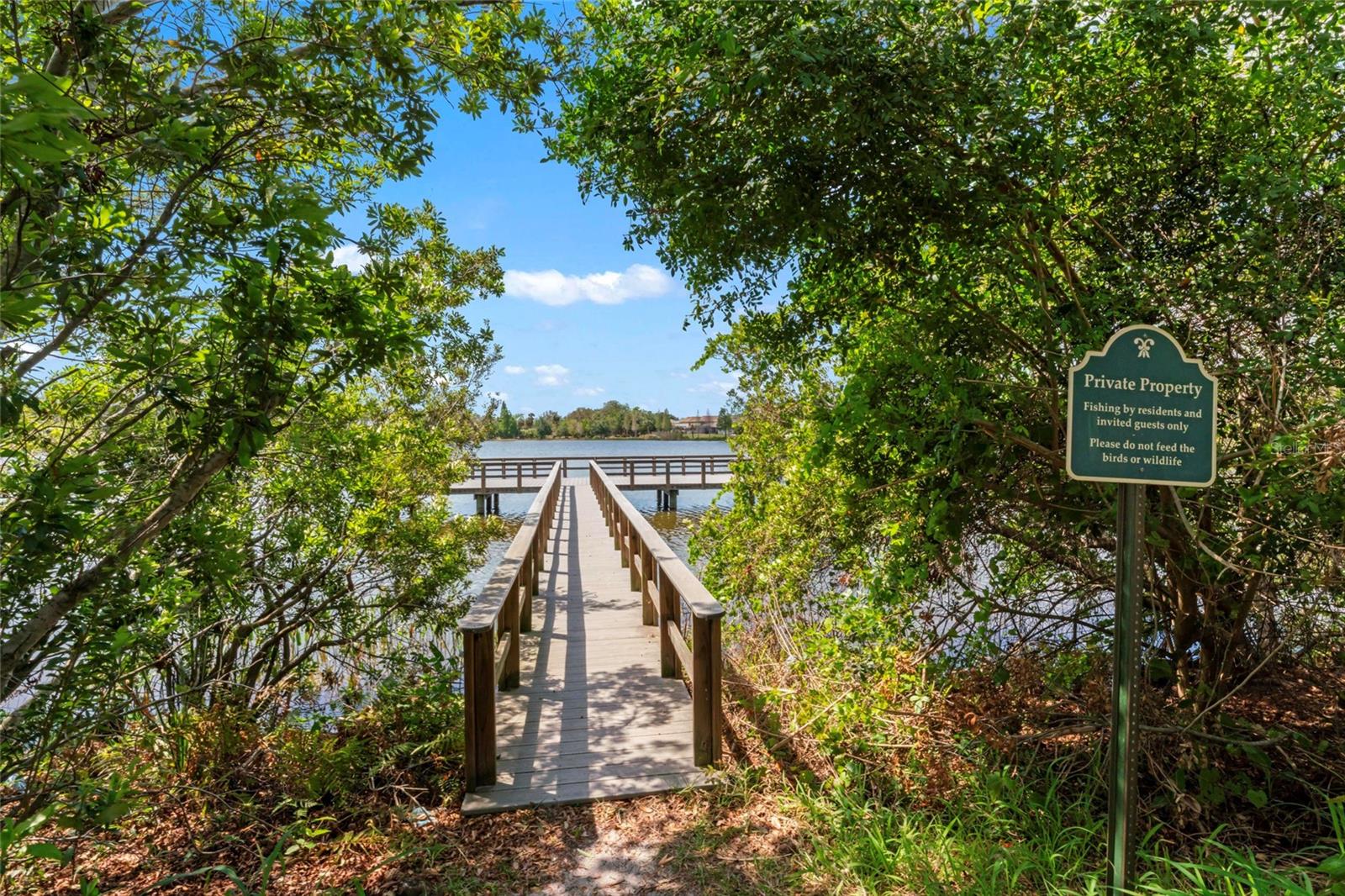 10611 LAKE MONTAUK DR, RIVERVIEW, FL, 33578
