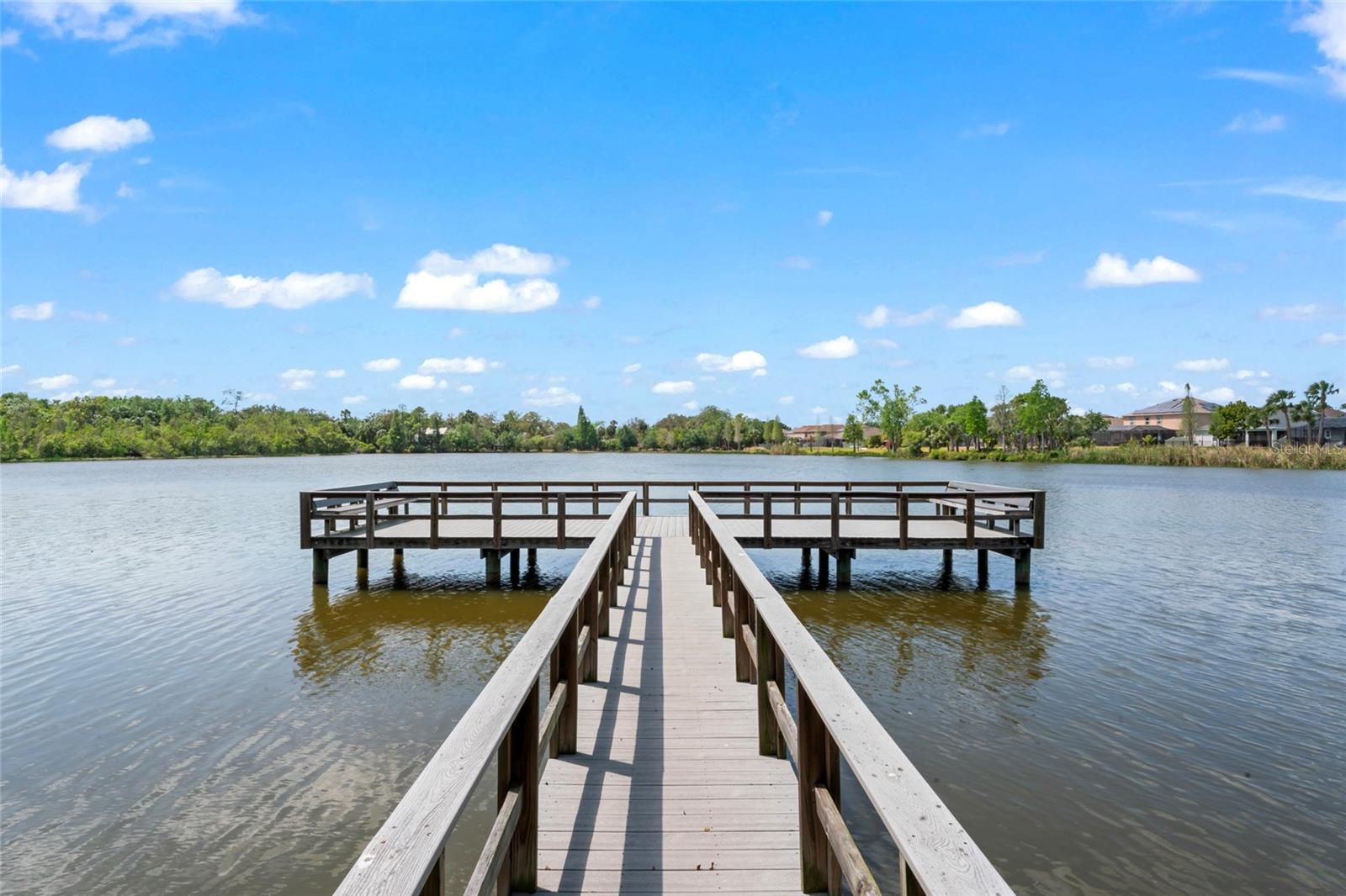 10611 LAKE MONTAUK DR, RIVERVIEW, FL, 33578