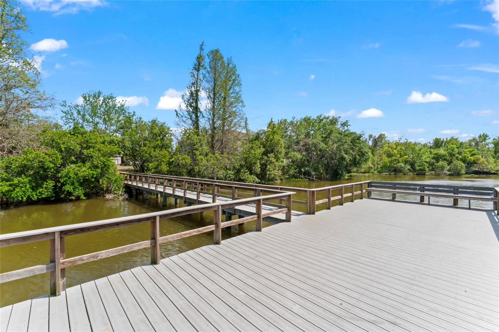 10611 LAKE MONTAUK DR, RIVERVIEW, FL, 33578