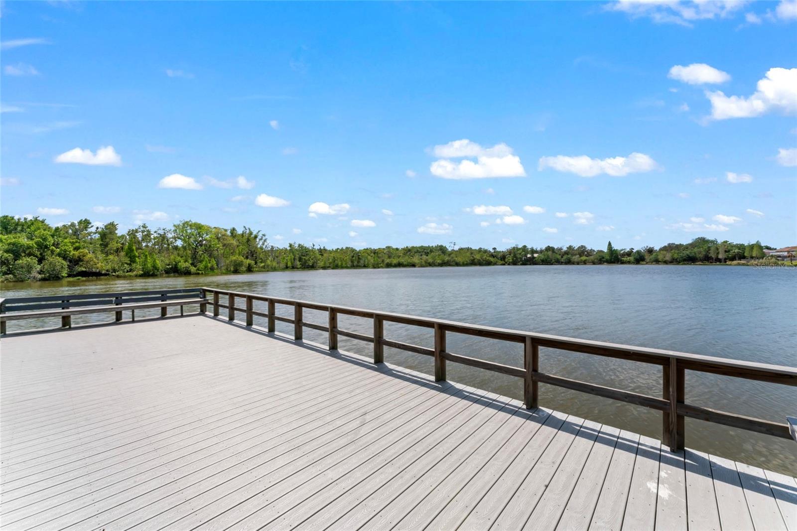 10611 LAKE MONTAUK DR, RIVERVIEW, FL, 33578