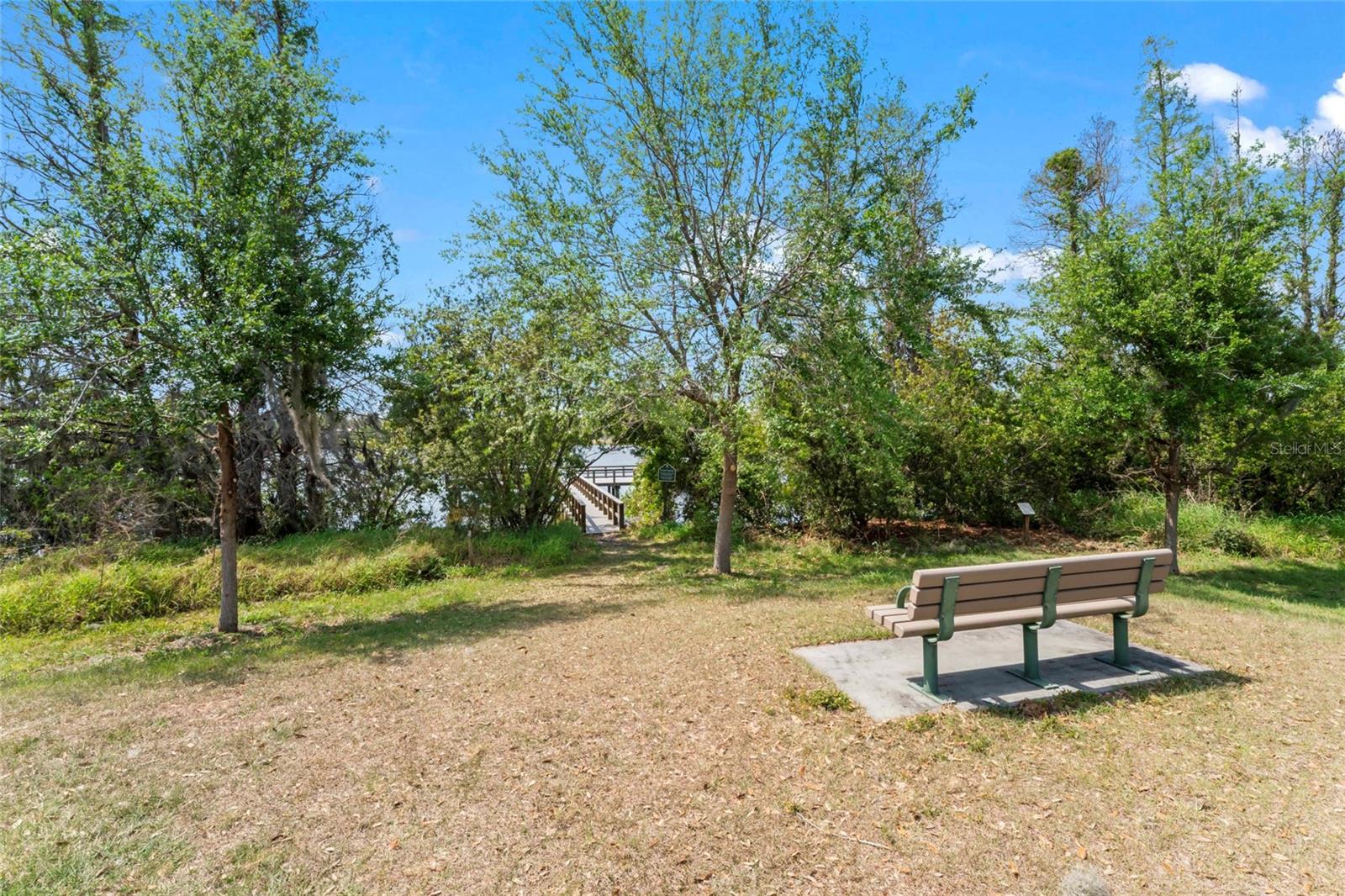 10611 LAKE MONTAUK DR, RIVERVIEW, FL, 33578