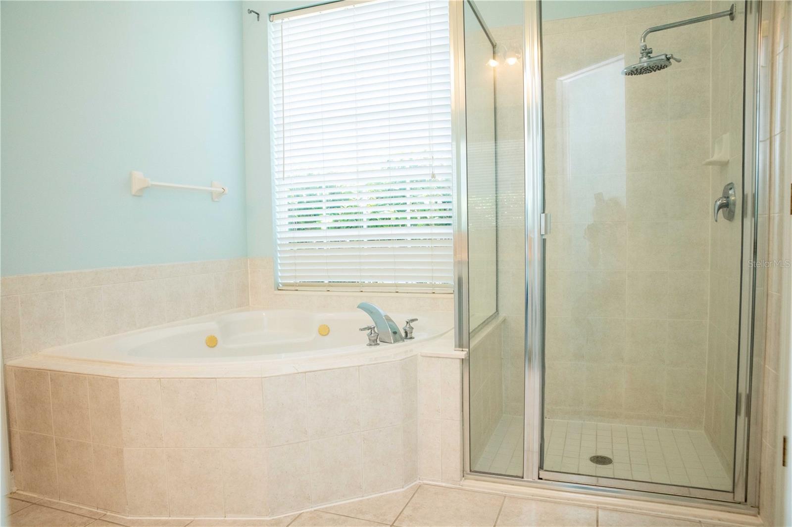 814 DEER WOODS RD, CELEBRATION, FL, 34747