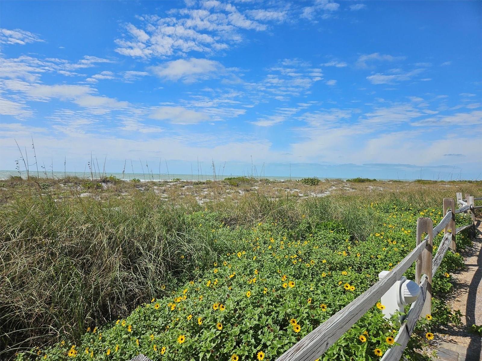 500 PARK BLVD S #62, VENICE, FL, 34285