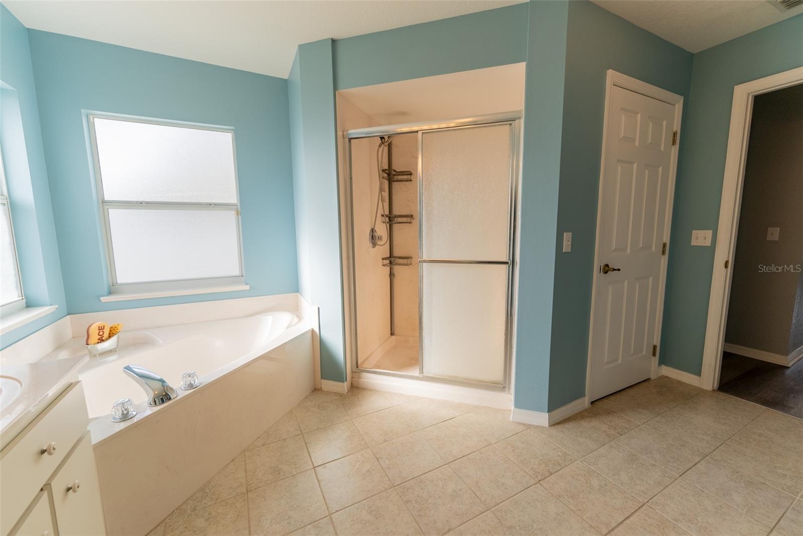 16201 SW 47TH TER, OCALA, FL, 34473