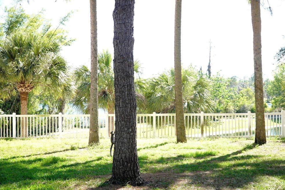 6627 QUEENS BOROUGH AVE #204, ORLANDO, FL, 32835