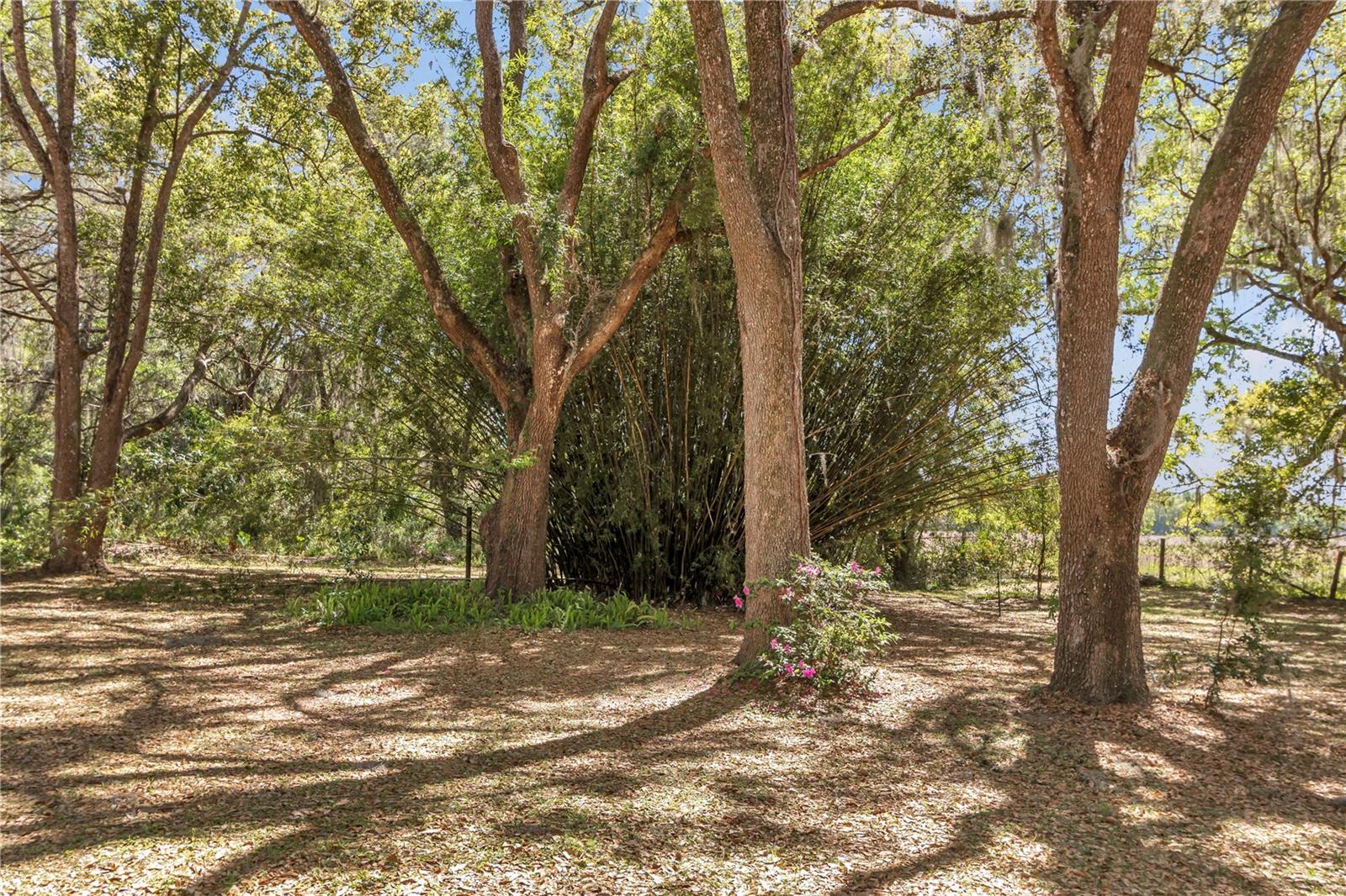 12180 SW HIGHWAY 200, DUNNELLON, FL, 34432
