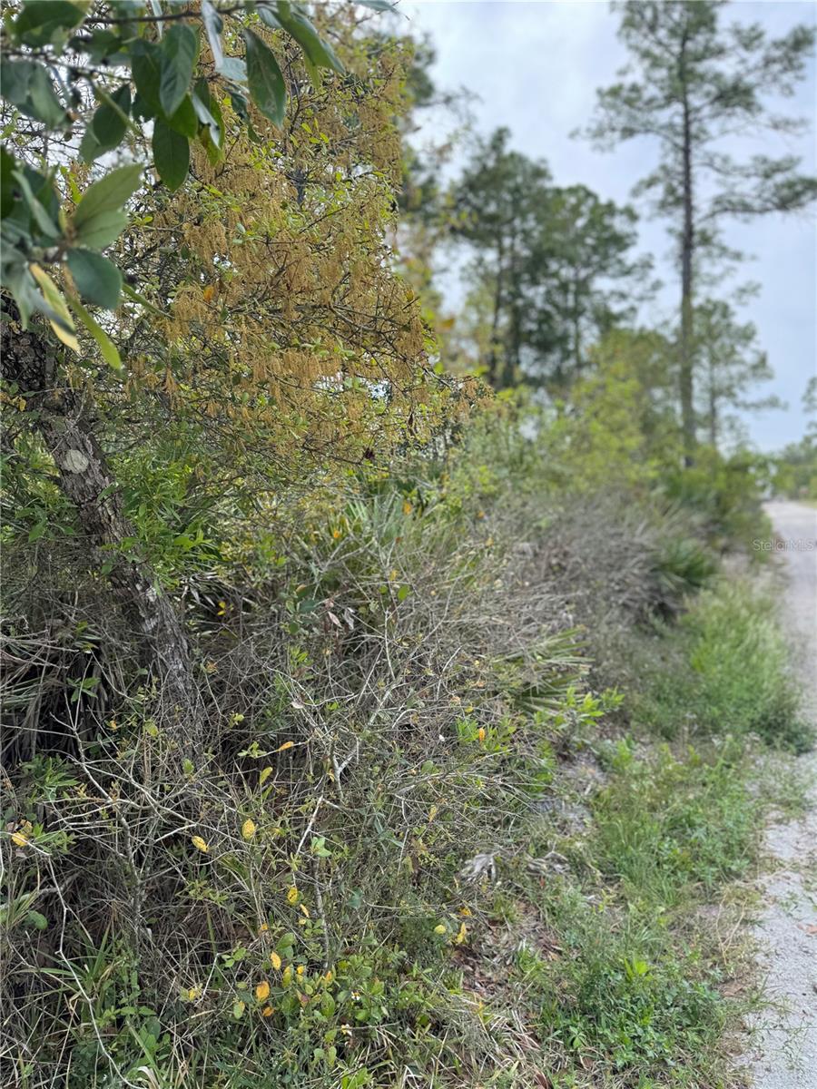 EAST PKWY, DELAND, FL, 32724