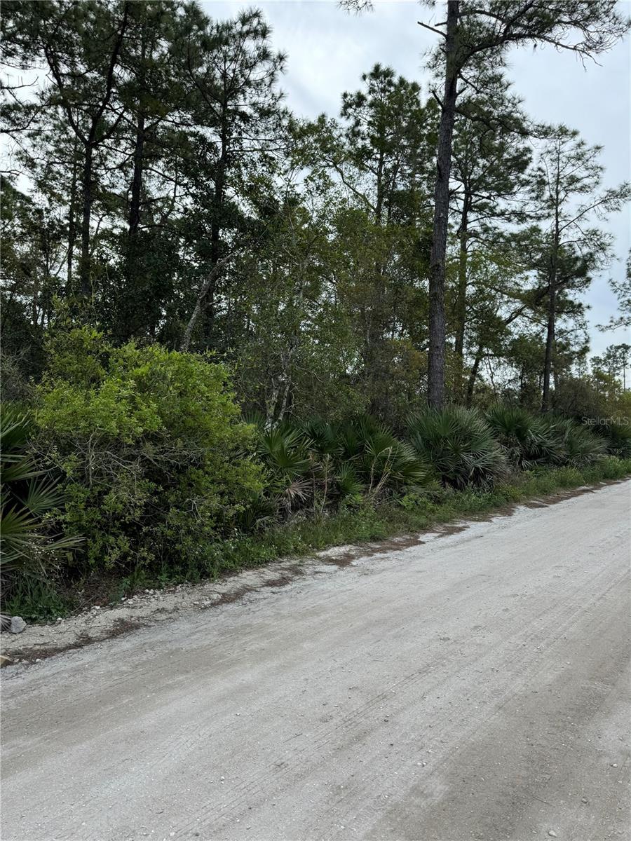 EAST PKWY, DELAND, FL, 32724