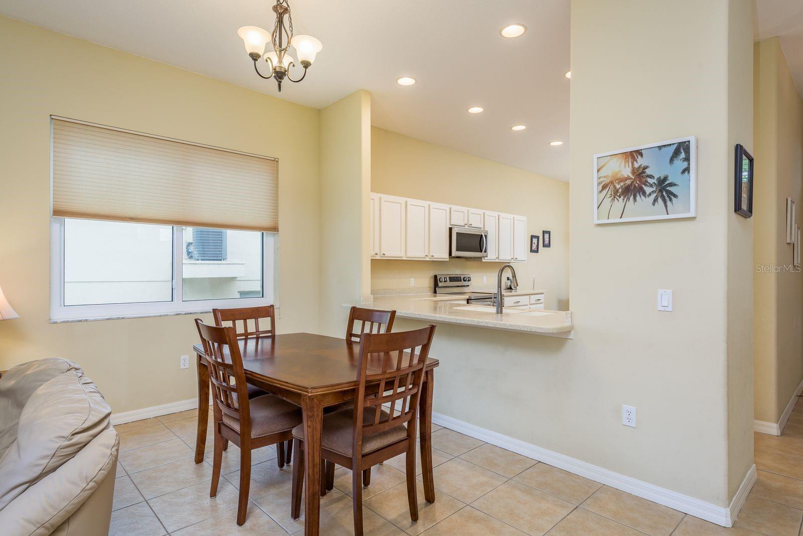 1122 S POINTE ALEXIS DR, TARPON SPRINGS, FL, 34689