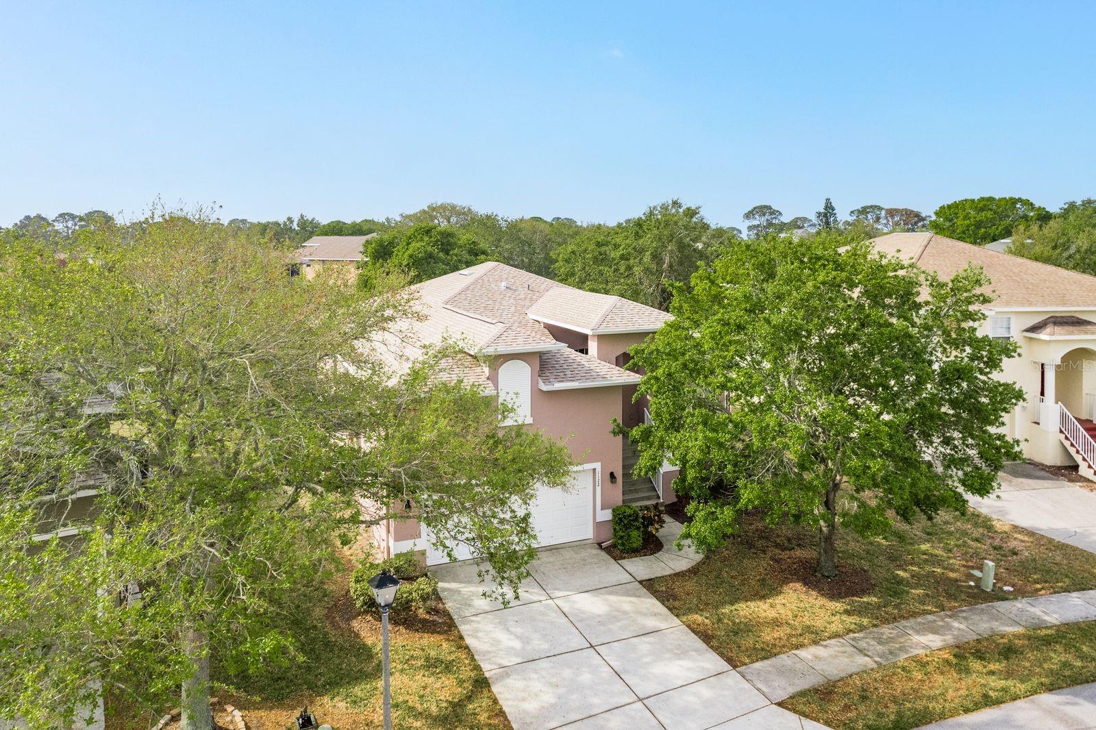 1122 S POINTE ALEXIS DR, TARPON SPRINGS, FL, 34689