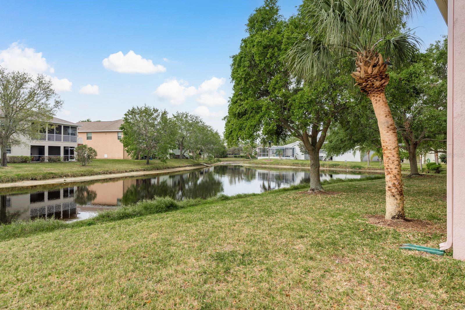1122 S POINTE ALEXIS DR, TARPON SPRINGS, FL, 34689
