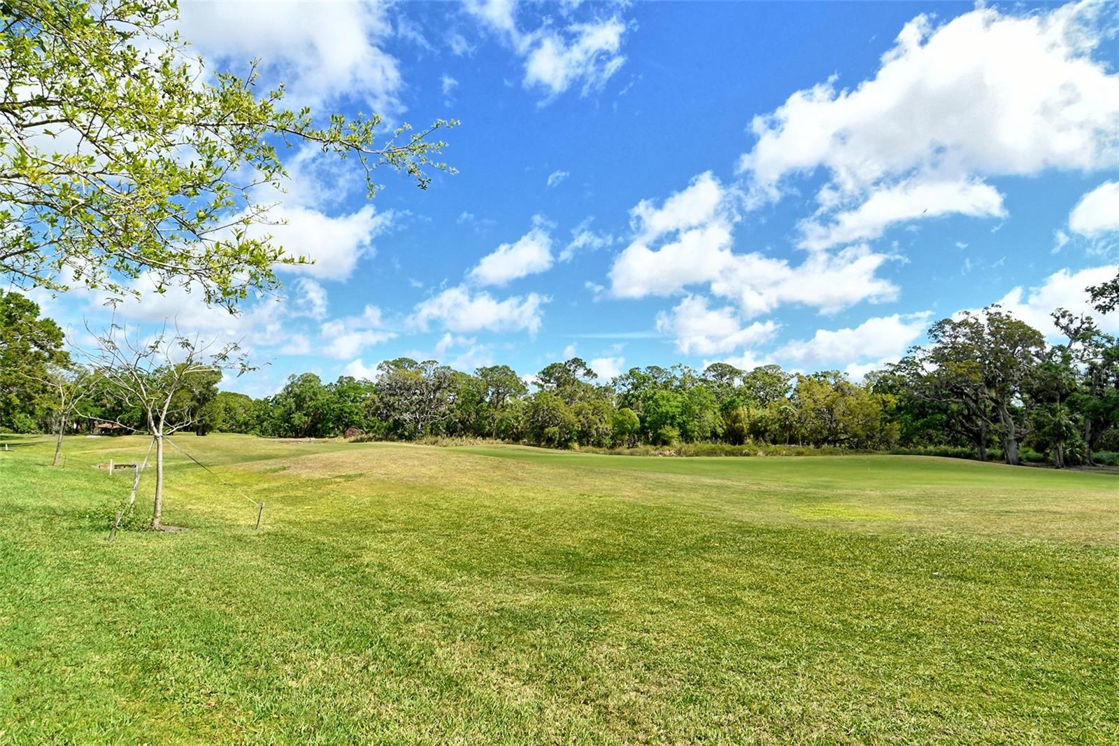 3950 OAKLEY GREENE #36, SARASOTA, FL, 34235