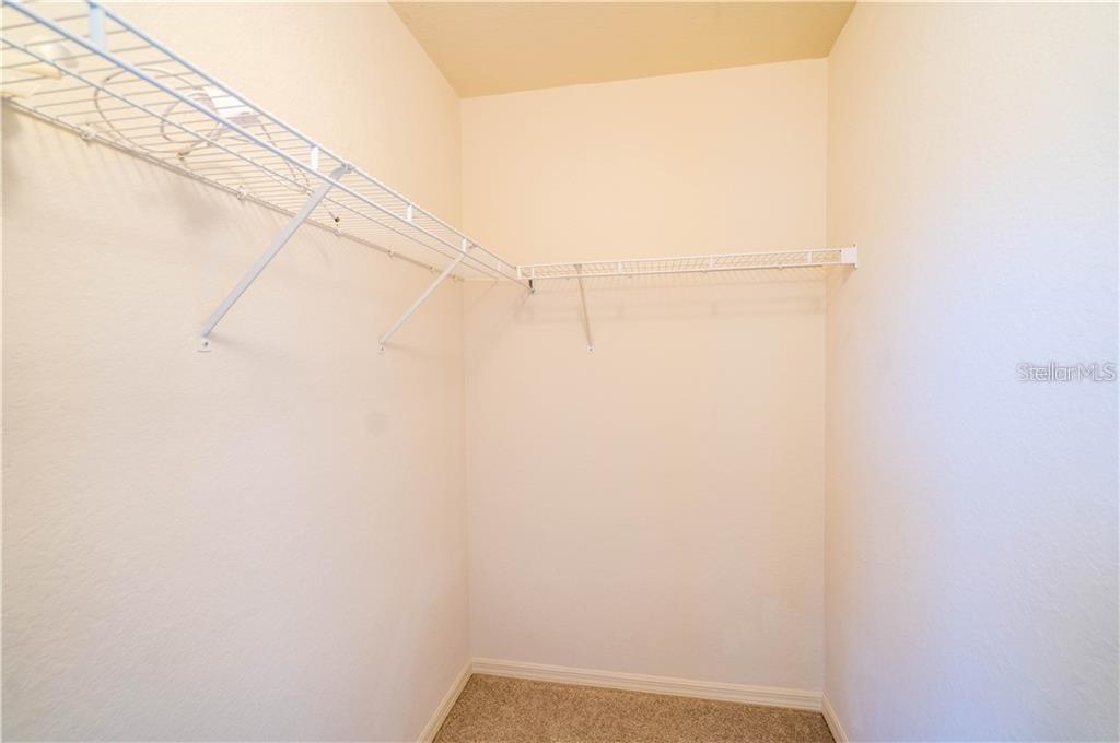 141 GRAND BEACH PL, TAMPA, FL, 33609