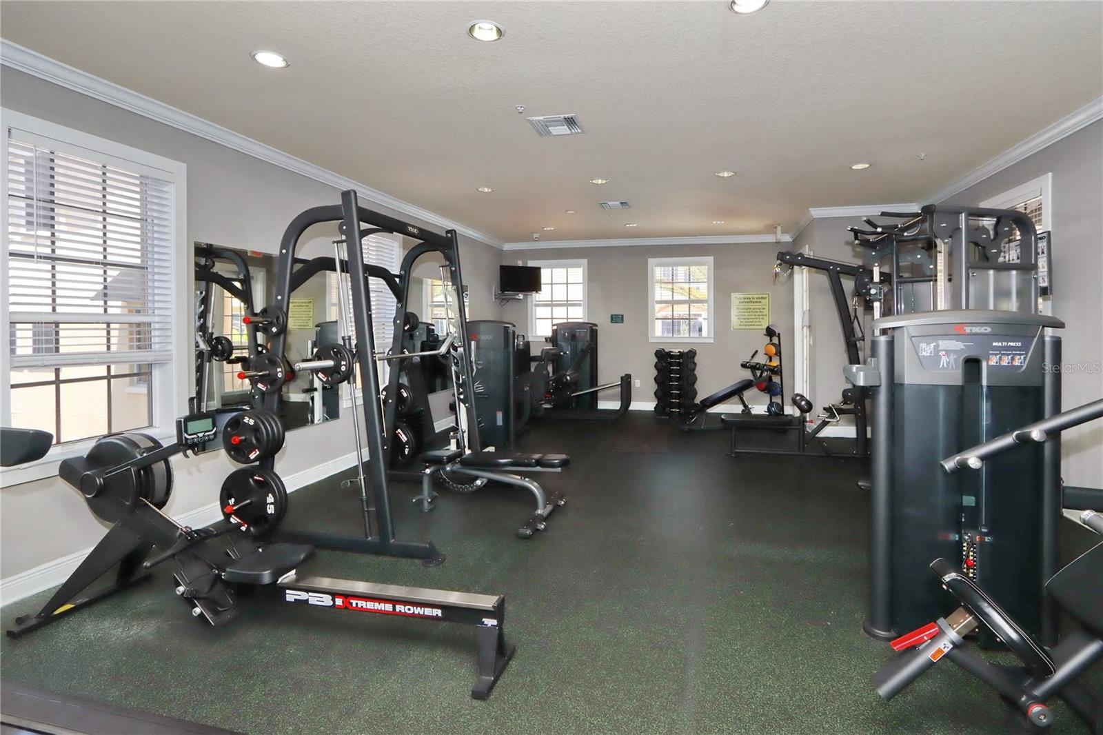 141 GRAND BEACH PL, TAMPA, FL, 33609