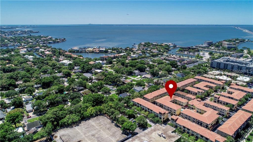 141 GRAND BEACH PL, TAMPA, FL, 33609