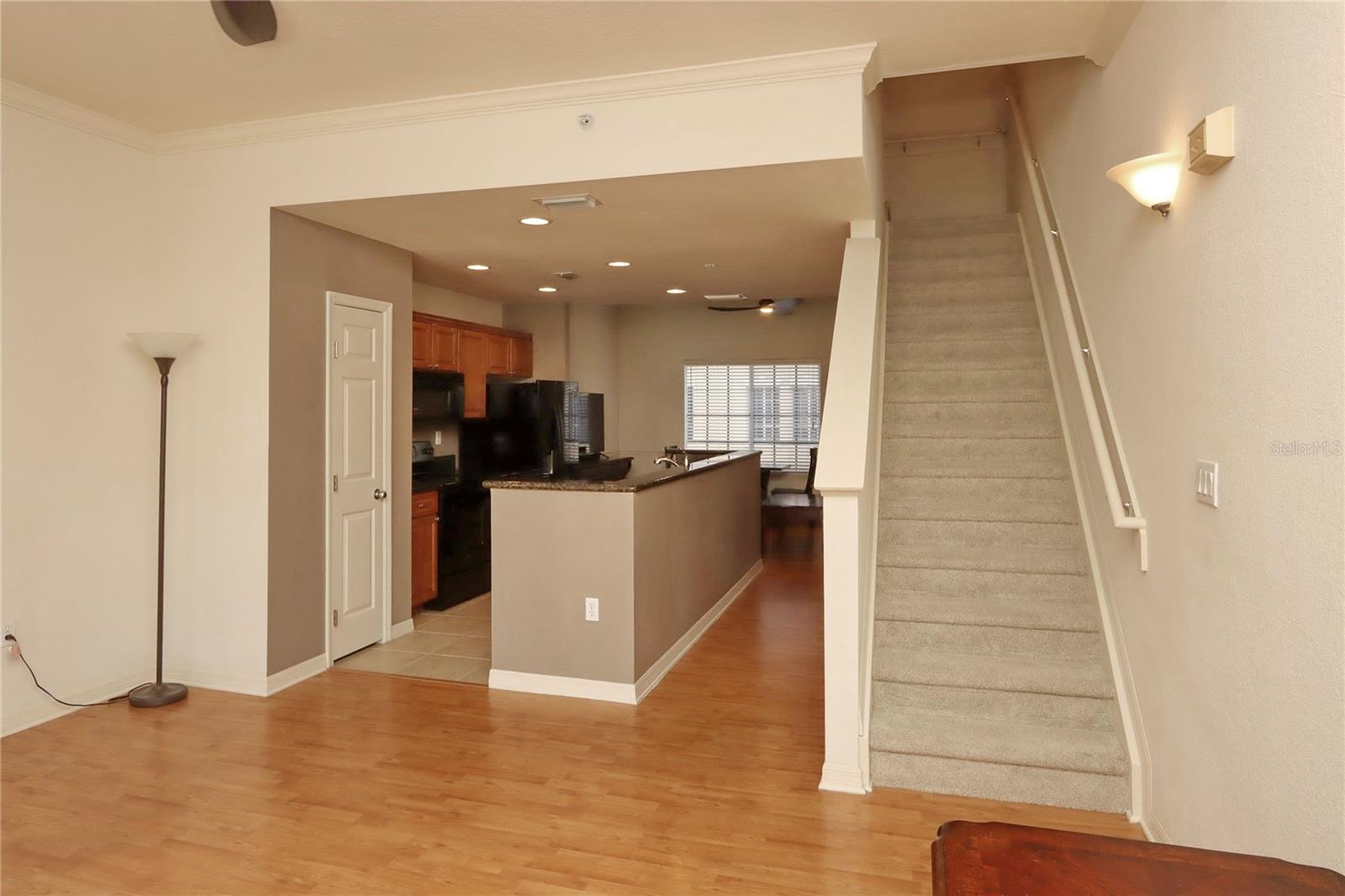 141 GRAND BEACH PL, TAMPA, FL, 33609