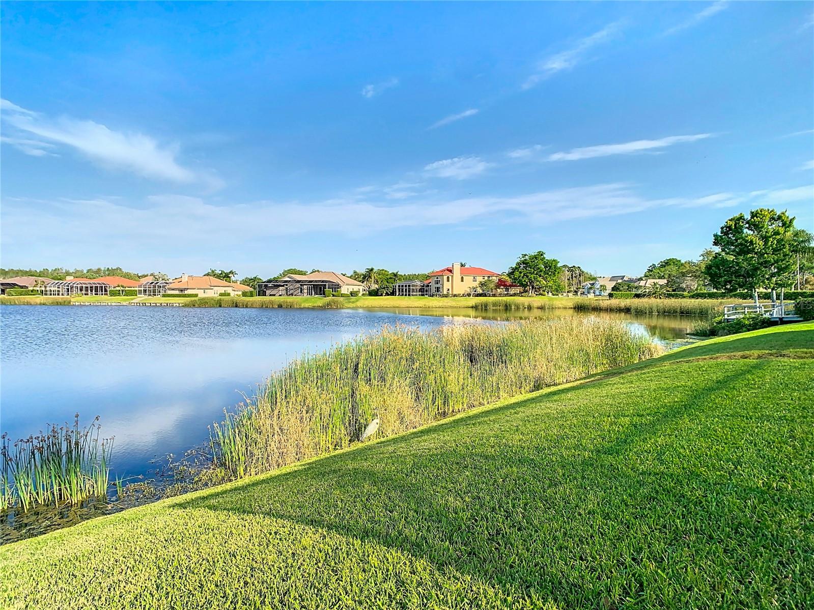 18652 AVENUE CAPRI, LUTZ, FL, 33558