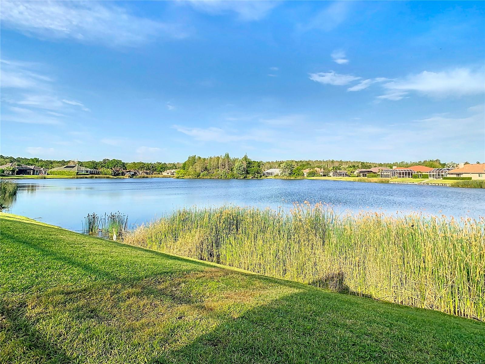 18652 AVENUE CAPRI, LUTZ, FL, 33558