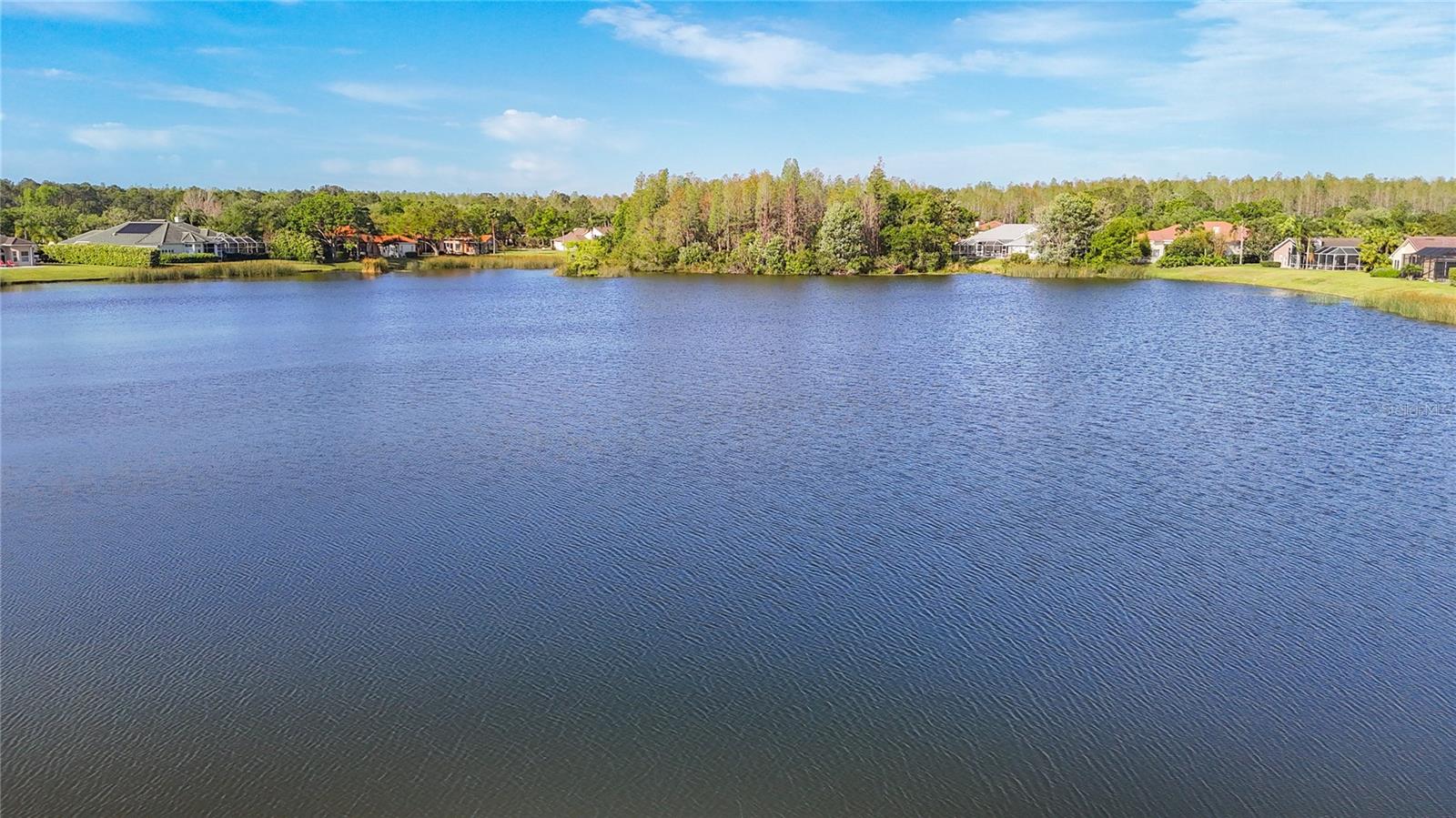 18652 AVENUE CAPRI, LUTZ, FL, 33558