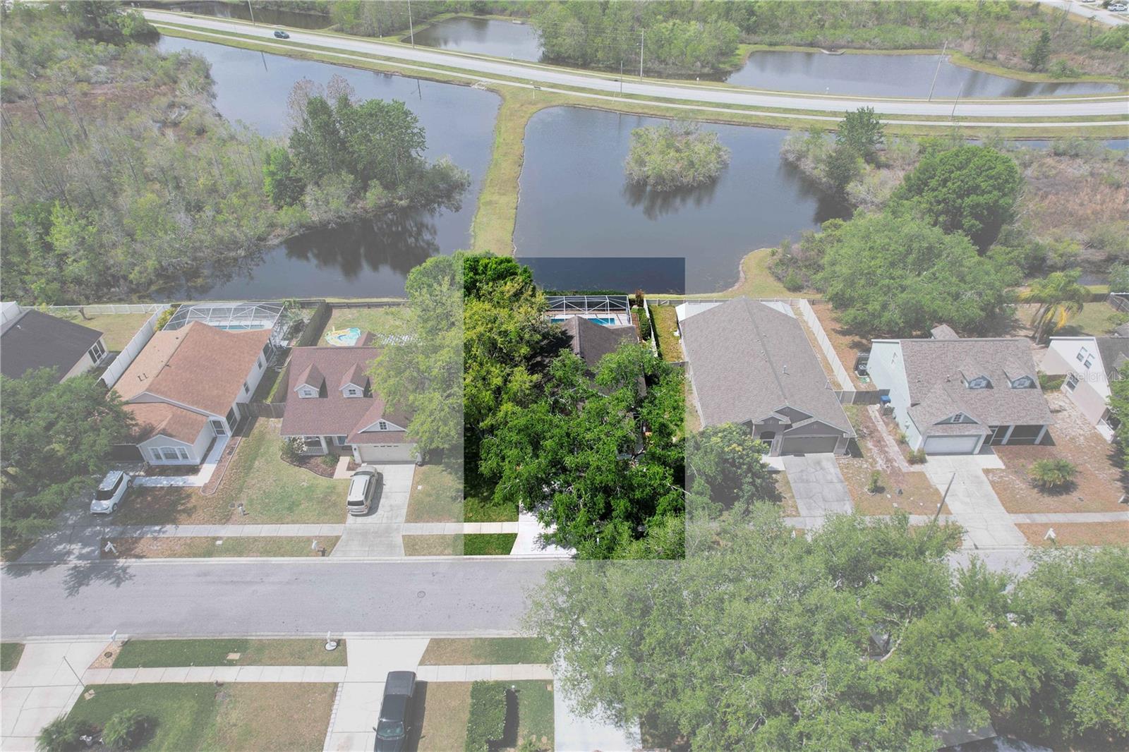 24349 CROSSCUT RD, LUTZ, FL, 33559