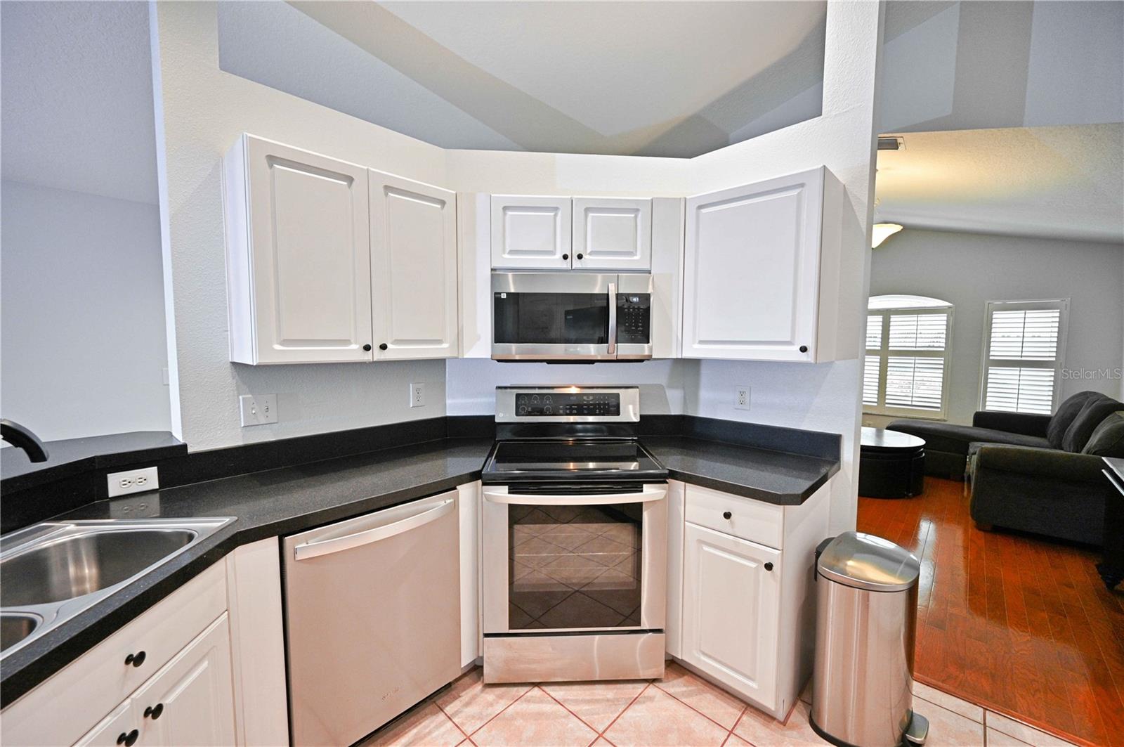24349 CROSSCUT RD, LUTZ, FL, 33559