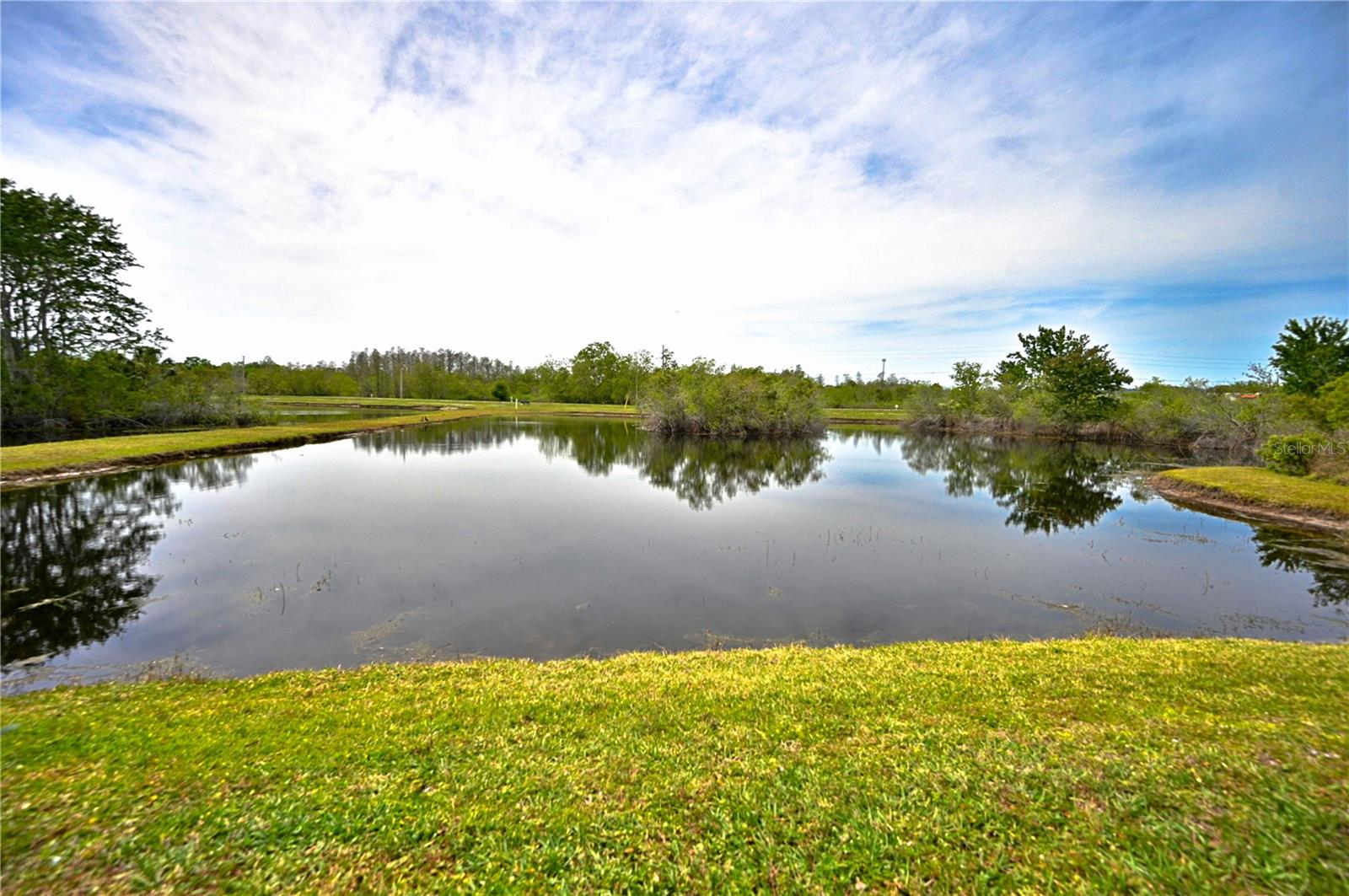 24349 CROSSCUT RD, LUTZ, FL, 33559