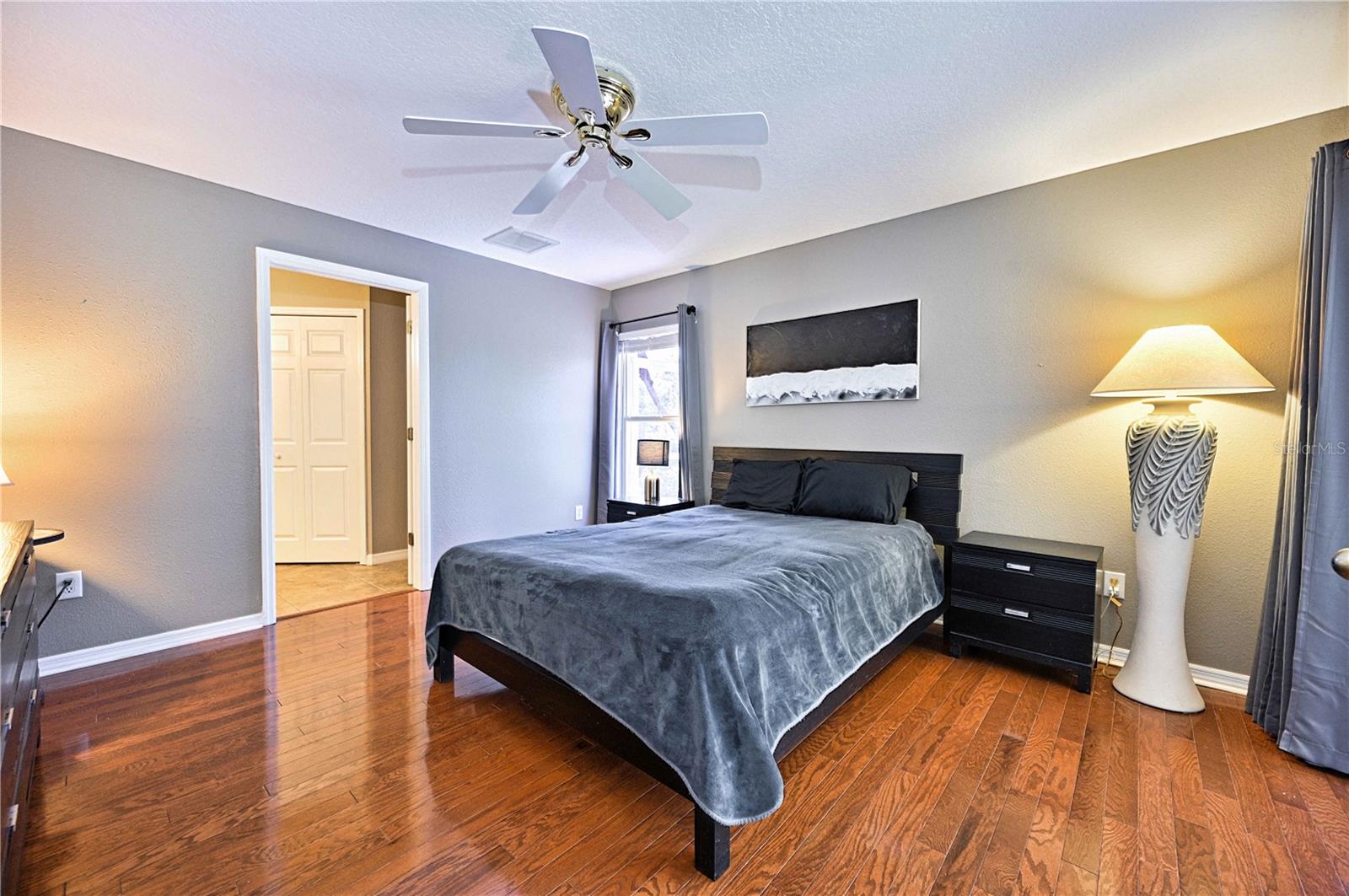 24349 CROSSCUT RD, LUTZ, FL, 33559