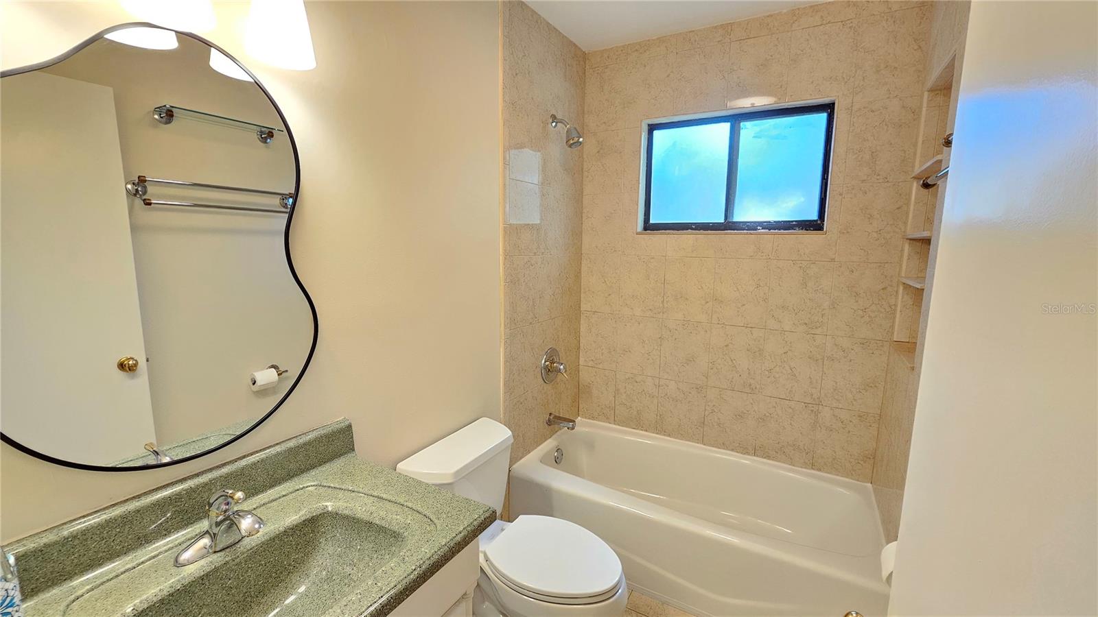 11722 RAINTREE LAKE LN #C, TAMPA, FL, 33617