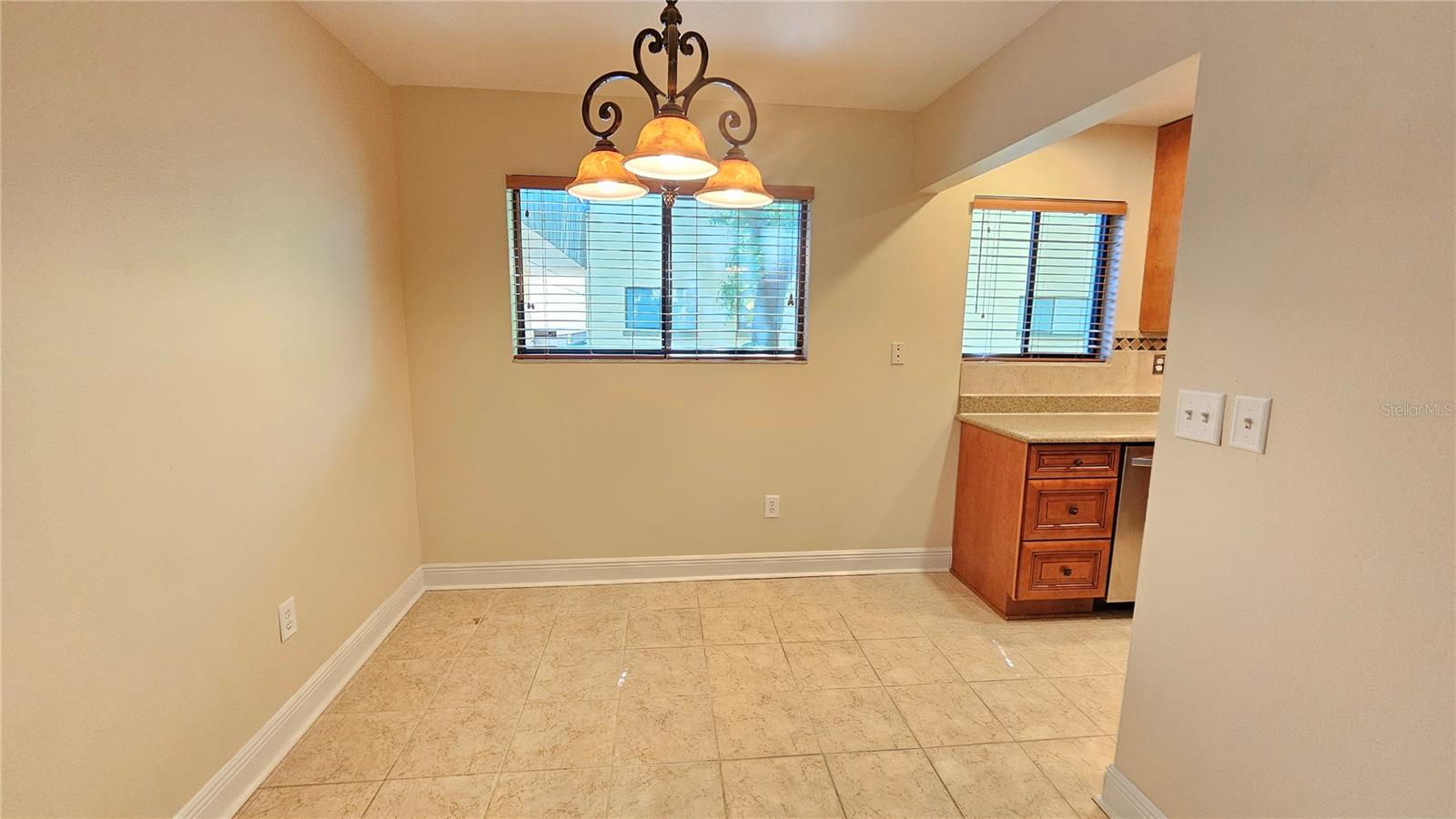 11722 RAINTREE LAKE LN #C, TAMPA, FL, 33617