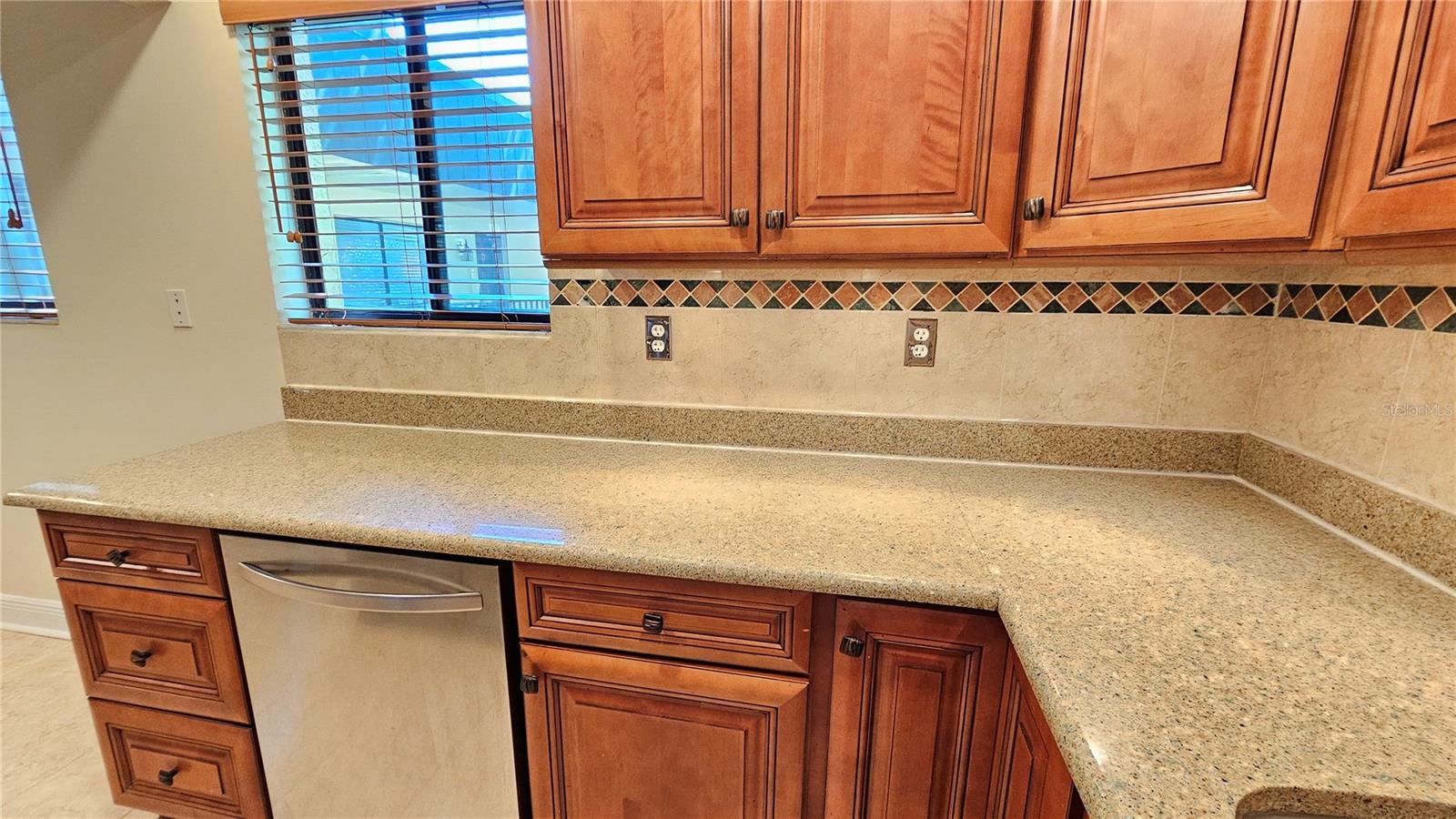 11722 RAINTREE LAKE LN #C, TAMPA, FL, 33617