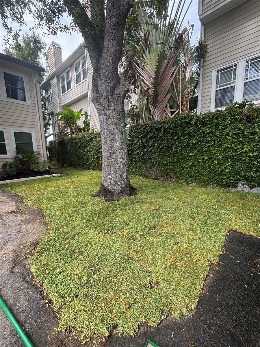 527 S LINCOLN AVE #A108, TAMPA, FL, 33609
